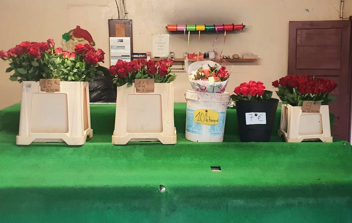 Roses d'Antibes- CANTATORE - 2