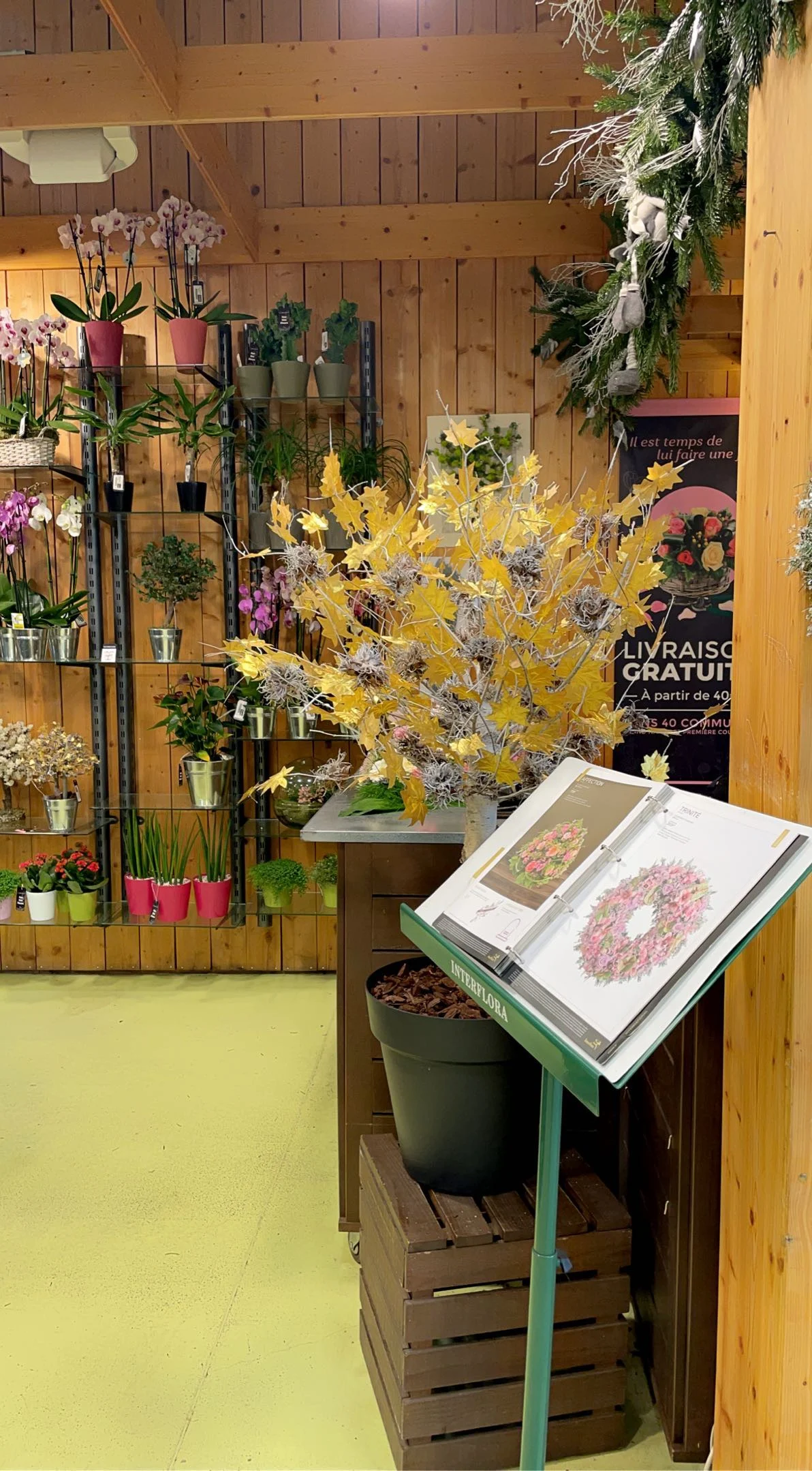 Rue Des Fleurs - fleuriste à Essey - 2