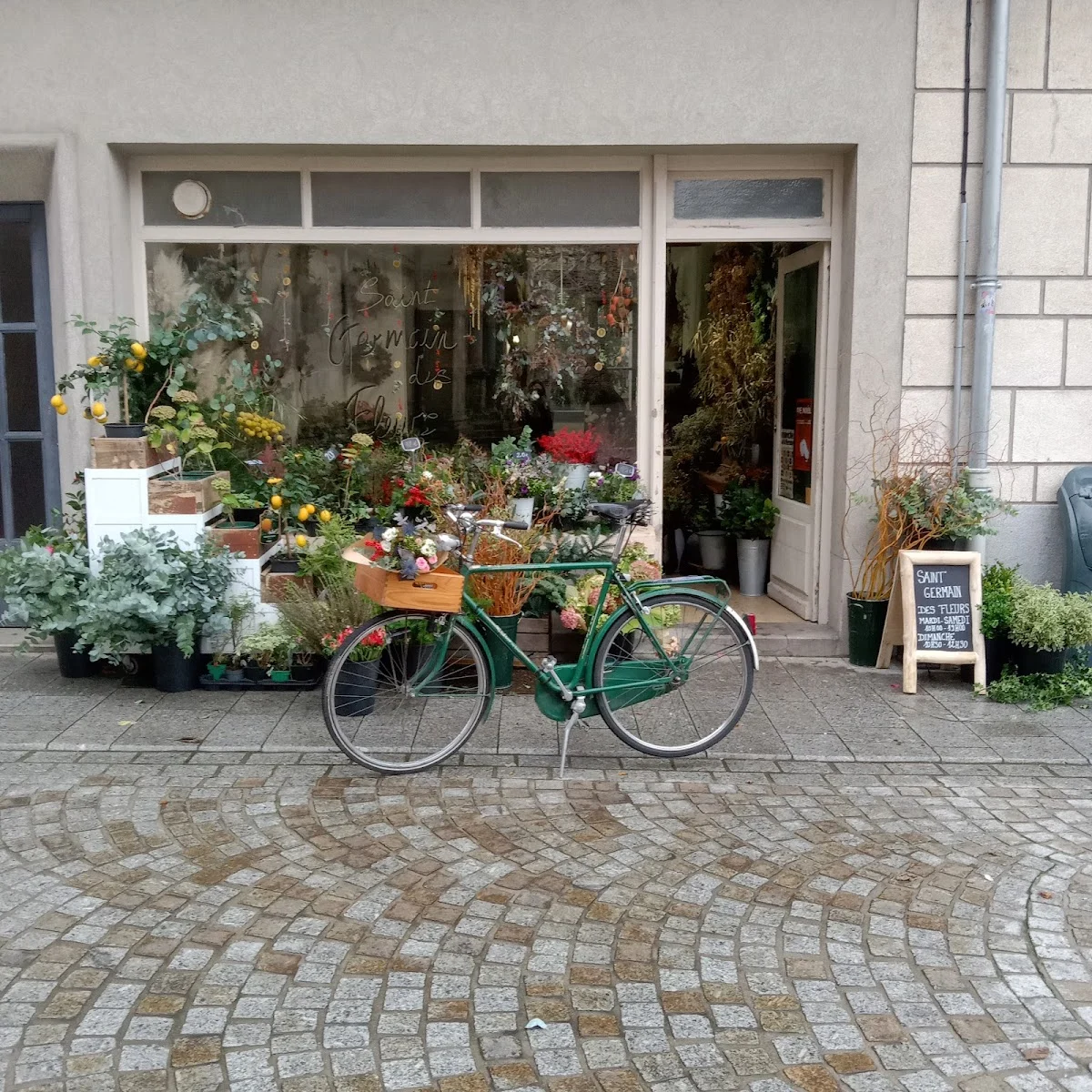 Saint Germain des Fleurs - 5