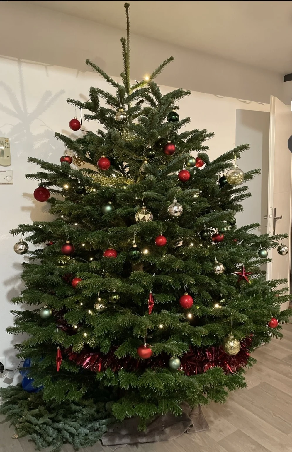 Sapins Rudloff - 2