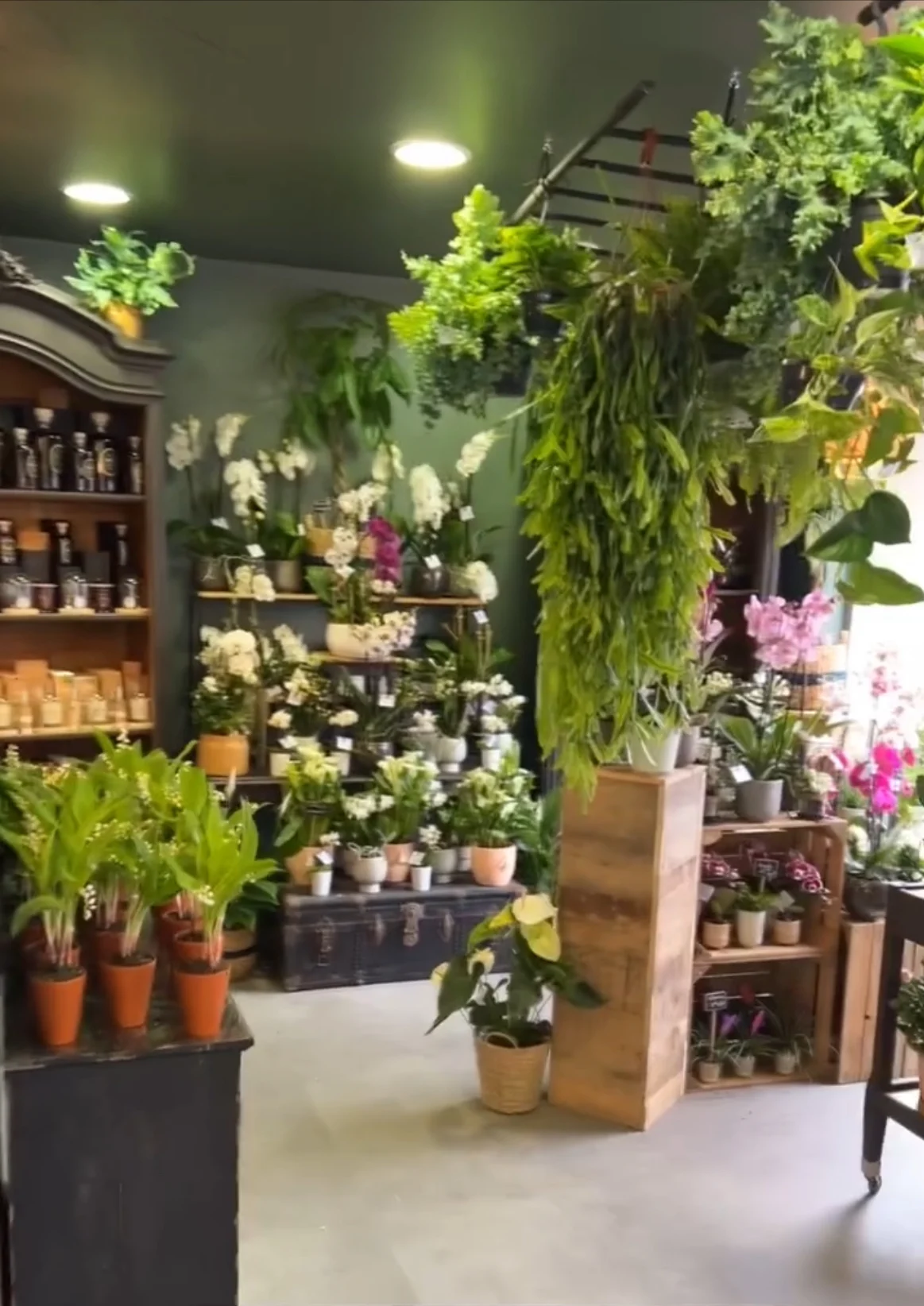 Scarabée La Boutique - 5
