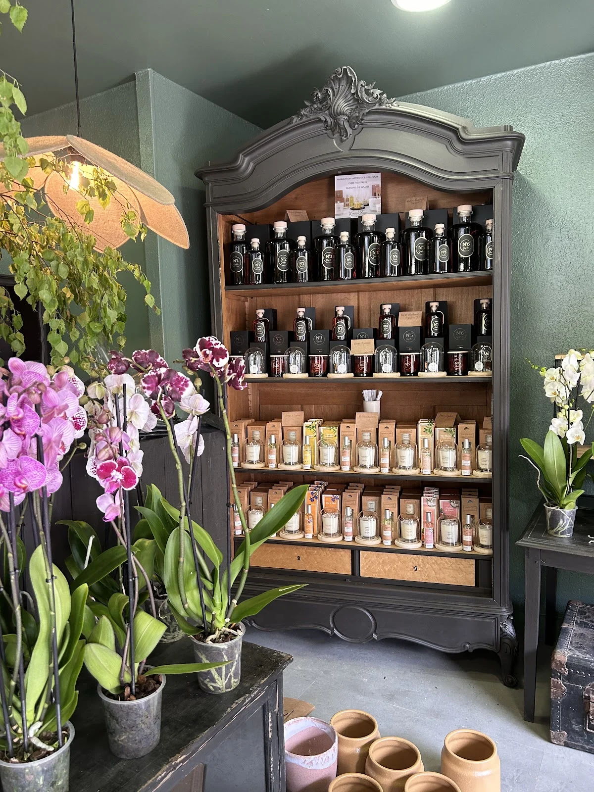 Scarabée La Boutique