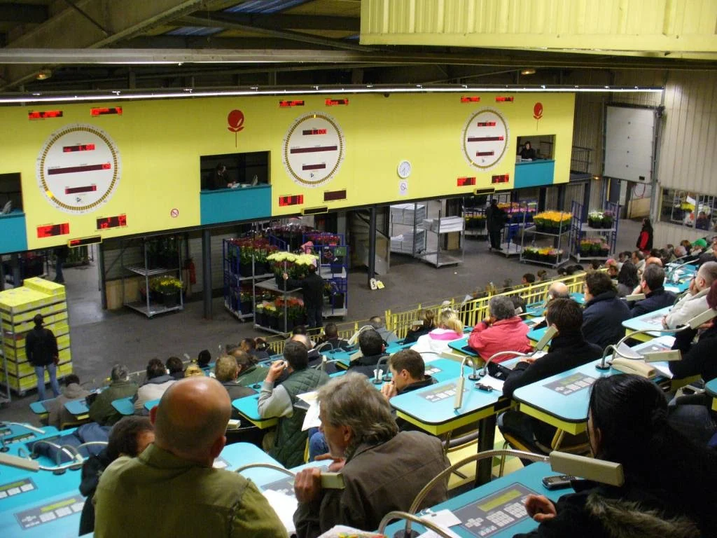 SICA Marché aux fleurs d'Hyères - 2
