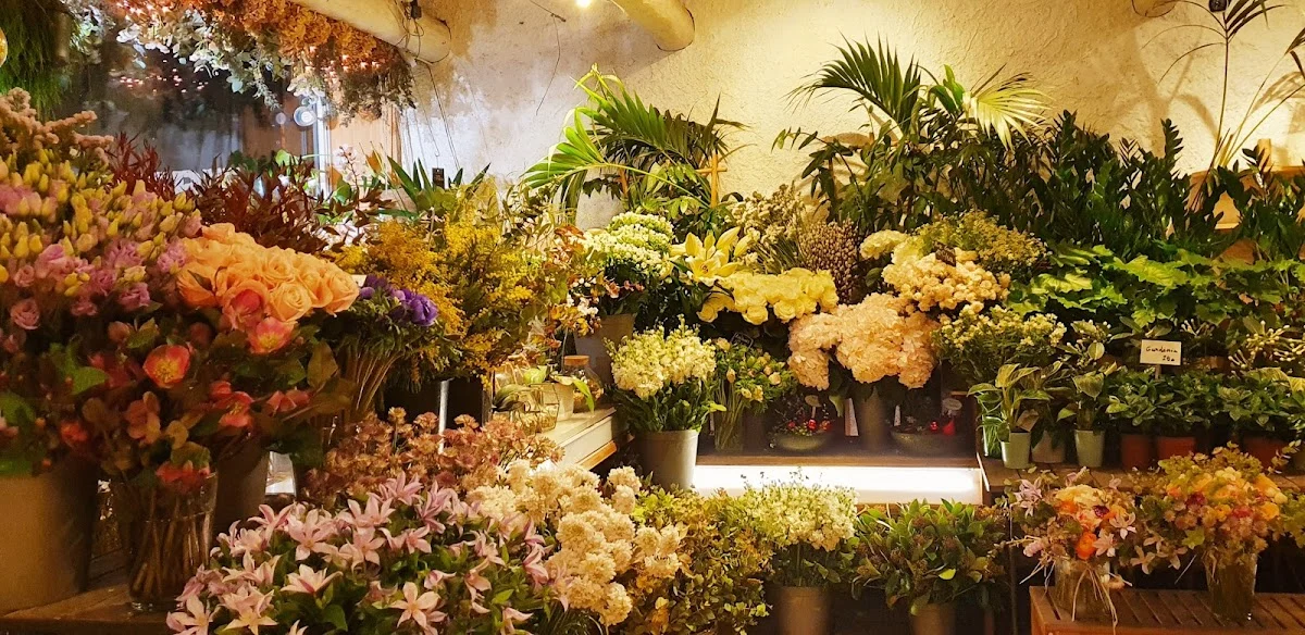 SO’ fleurs - 4