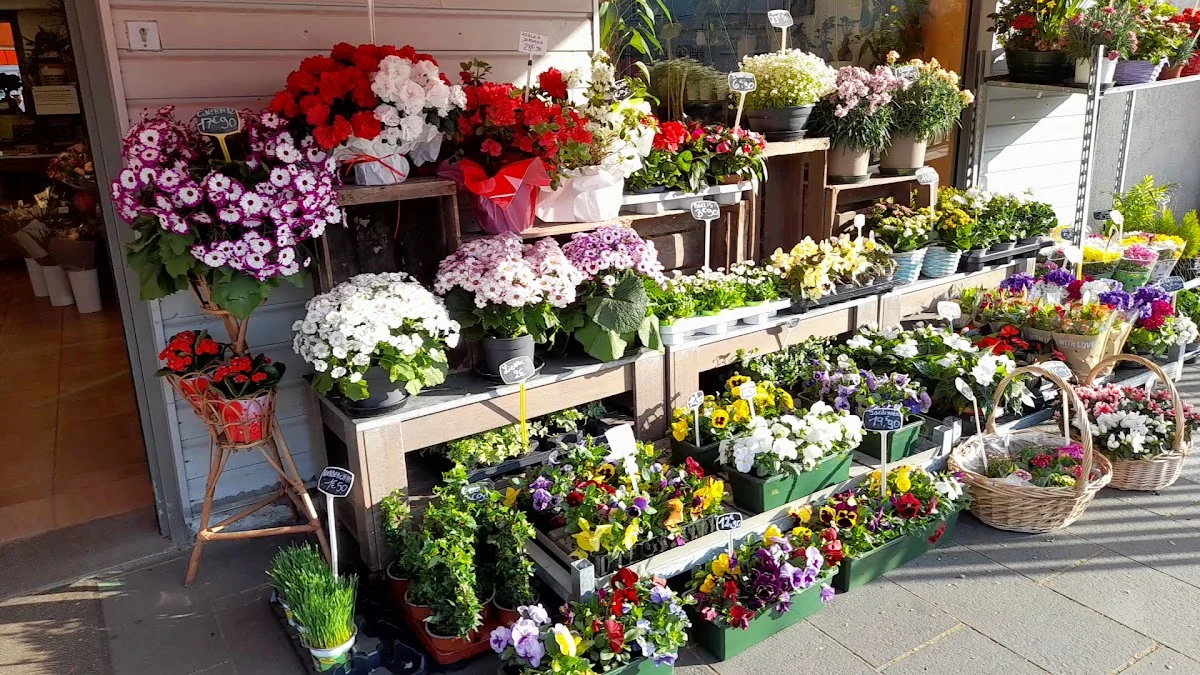 Sofia Fleurs et Décorations-Cauchoise - 3