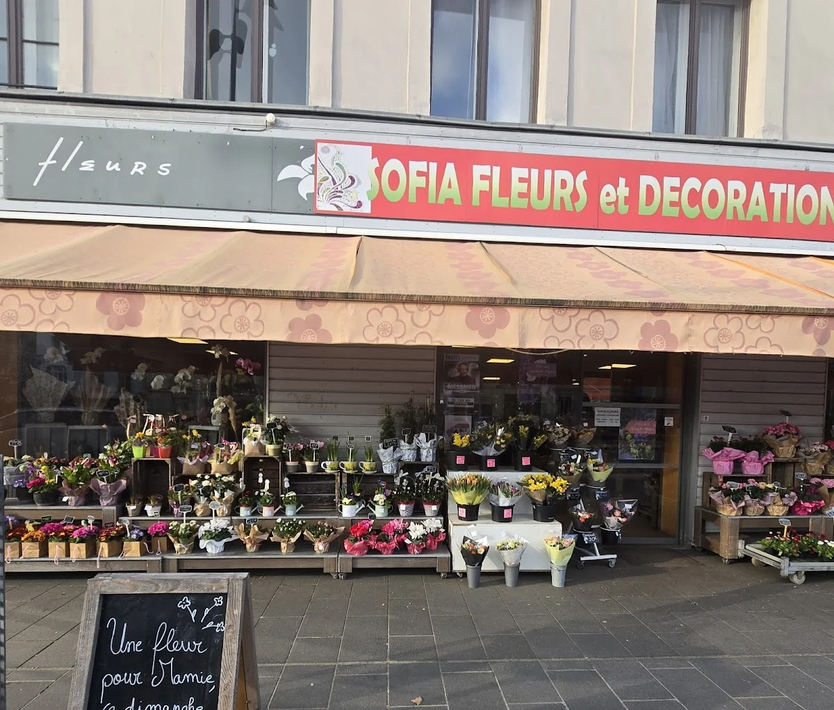 Sofia Fleurs et Décorations-Cauchoise