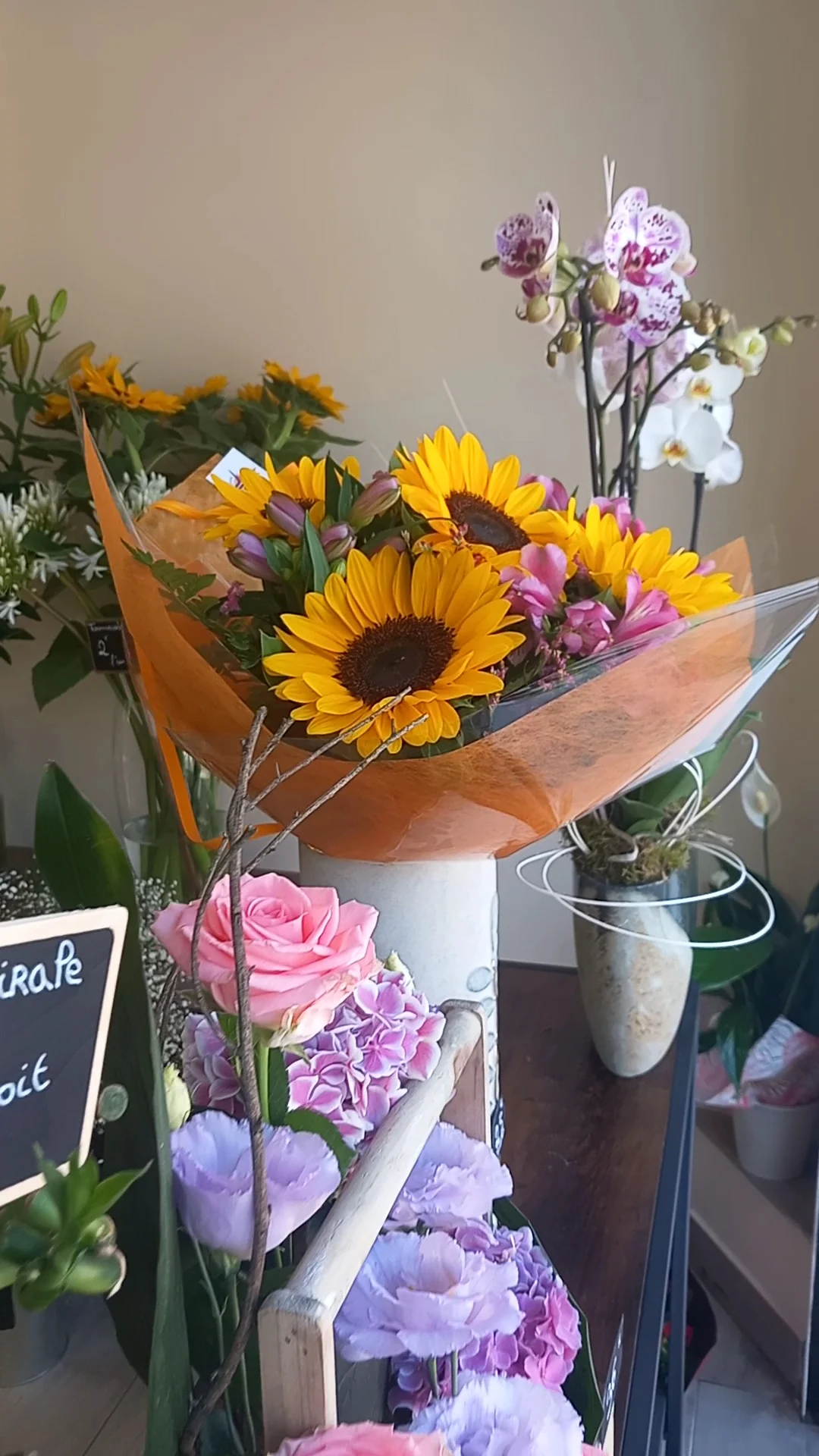 Soleil et Fleurs - 3