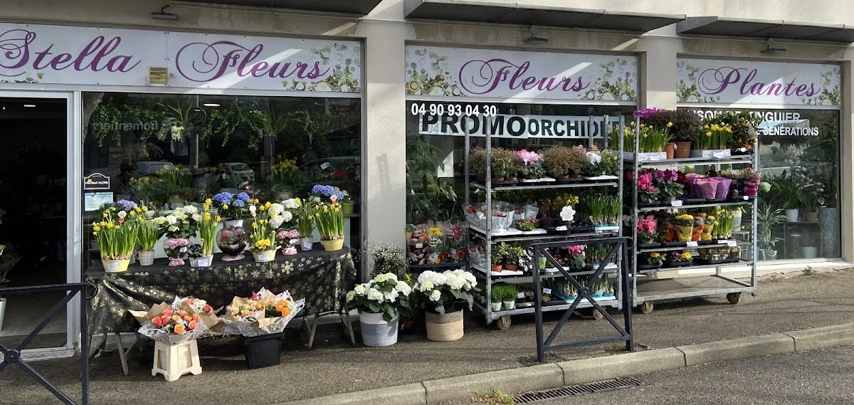 Stella Fleurs