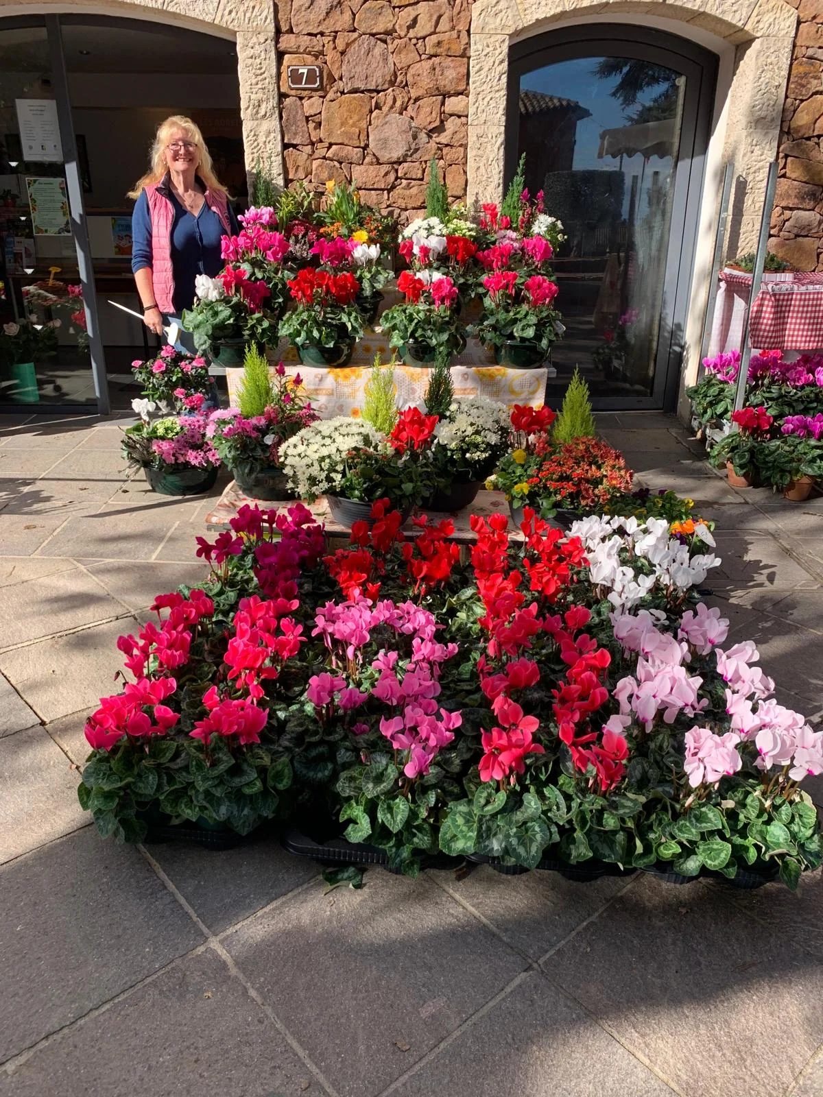 Sylvie plantes et fleurs du marché