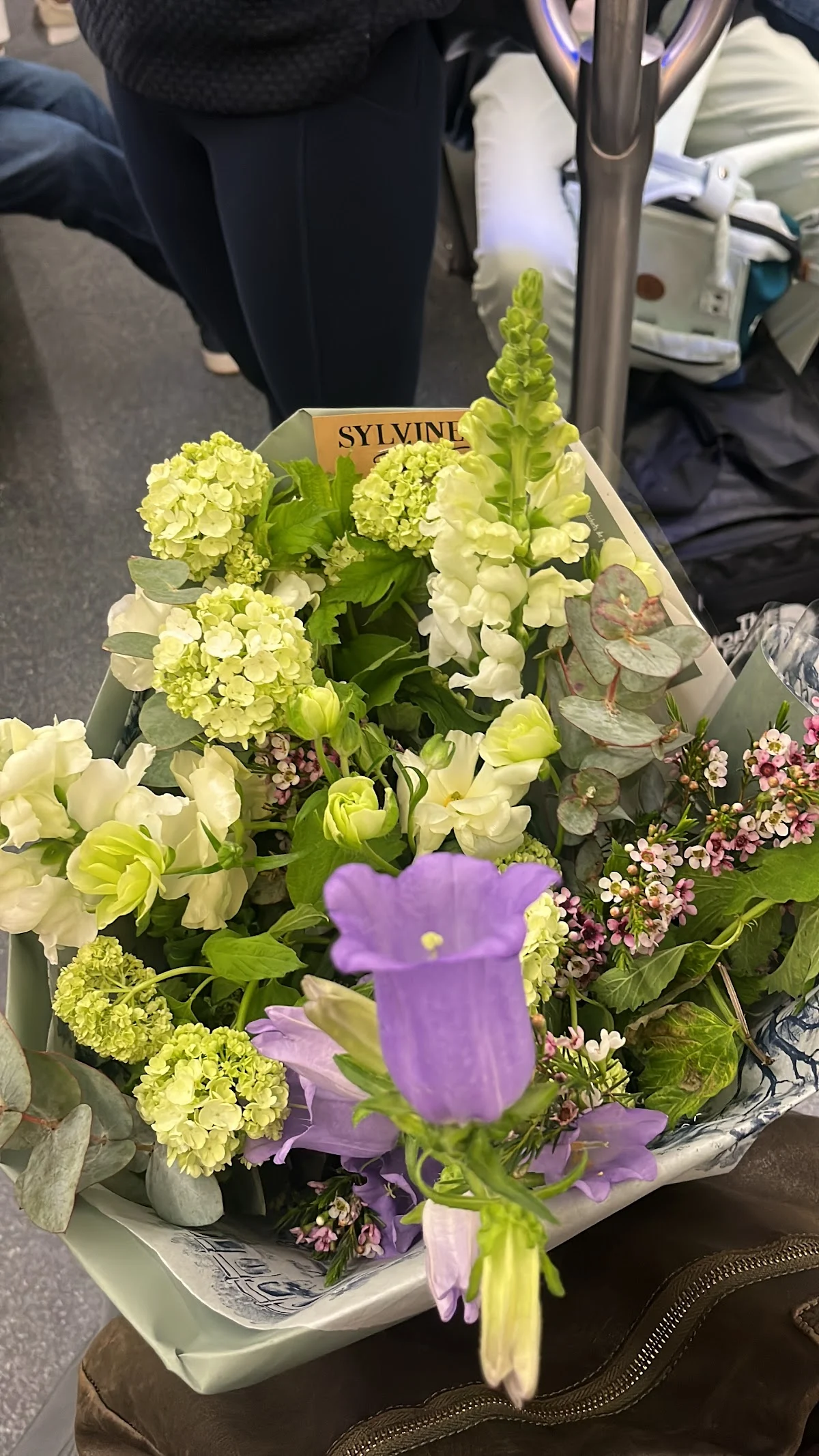 SYLVINE FLEURS 💐 - 2