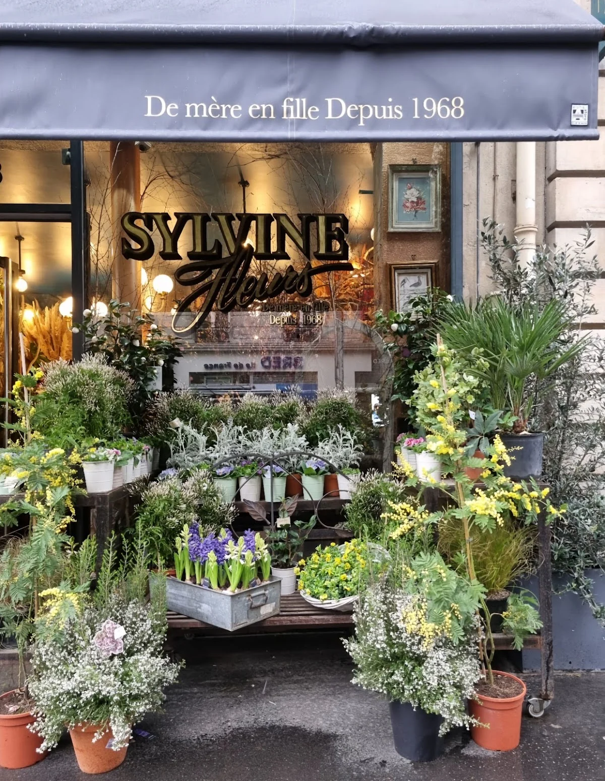 SYLVINE FLEURS 💐 - 5