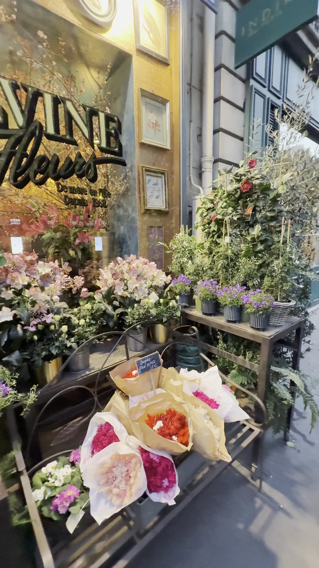 SYLVINE FLEURS 💐 - 6