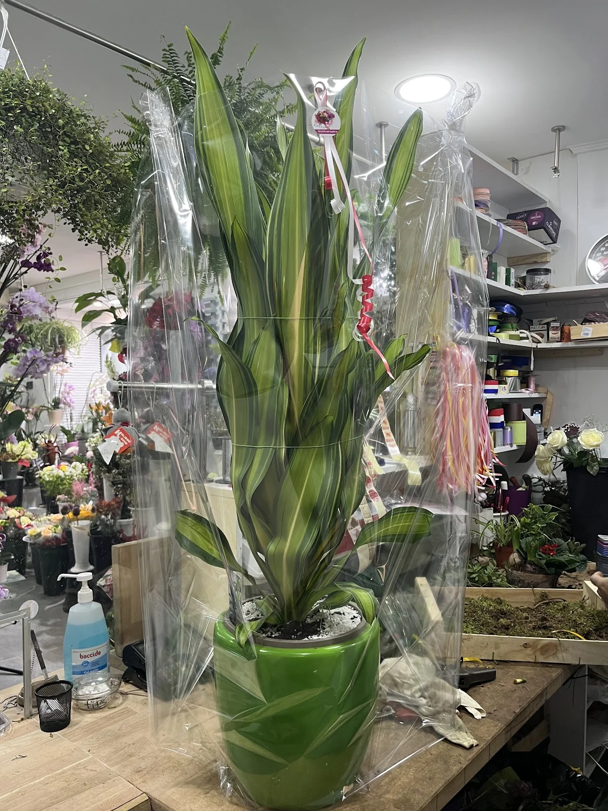 TAZWAR DEBEAUPUIS | Fleuriste Vitry-sur-Seine - 3