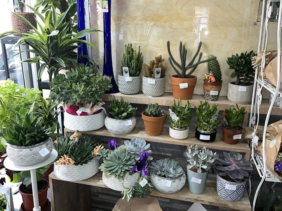 TAZWAR DEBEAUPUIS | Fleuriste Vitry-sur-Seine - 4