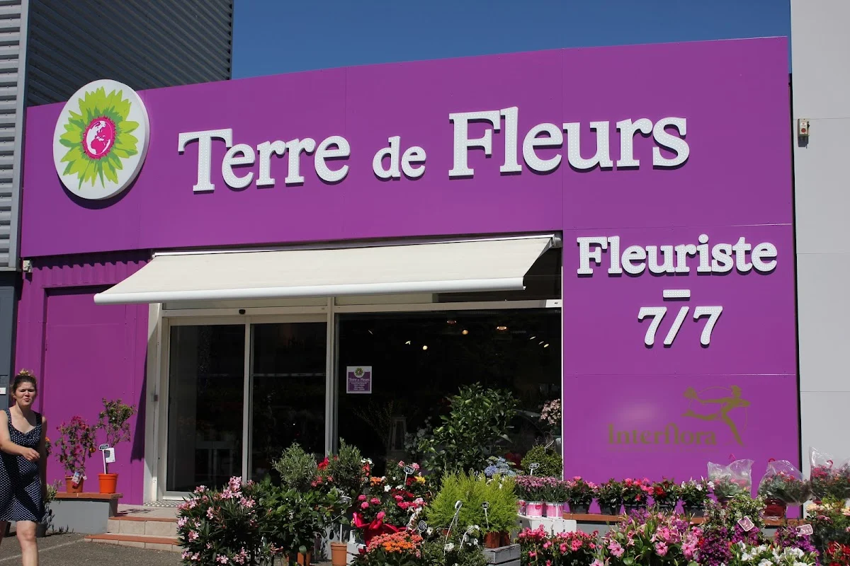 Terre de Fleurs - Fleuriste Montauban - Interflora
