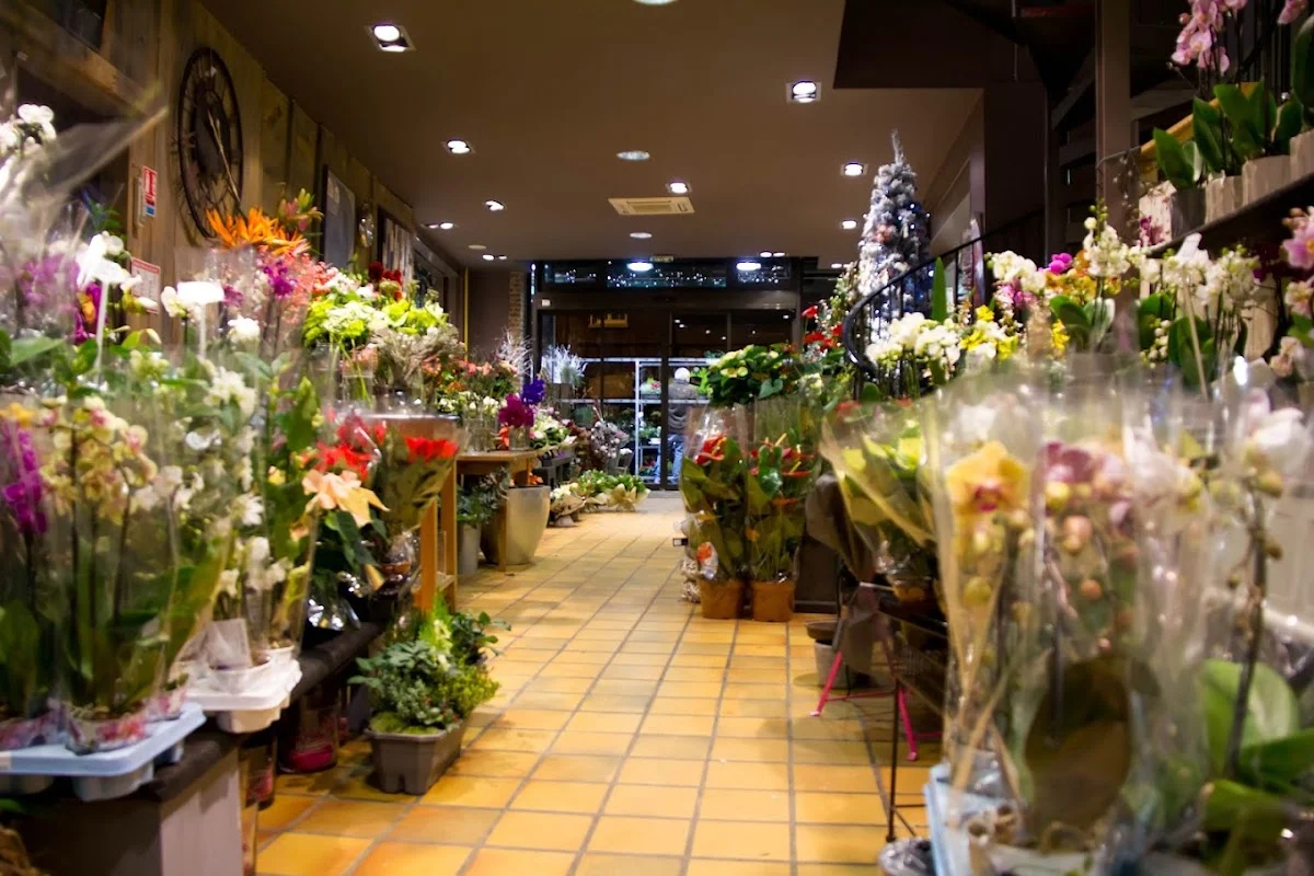 Top Fleurs - 6