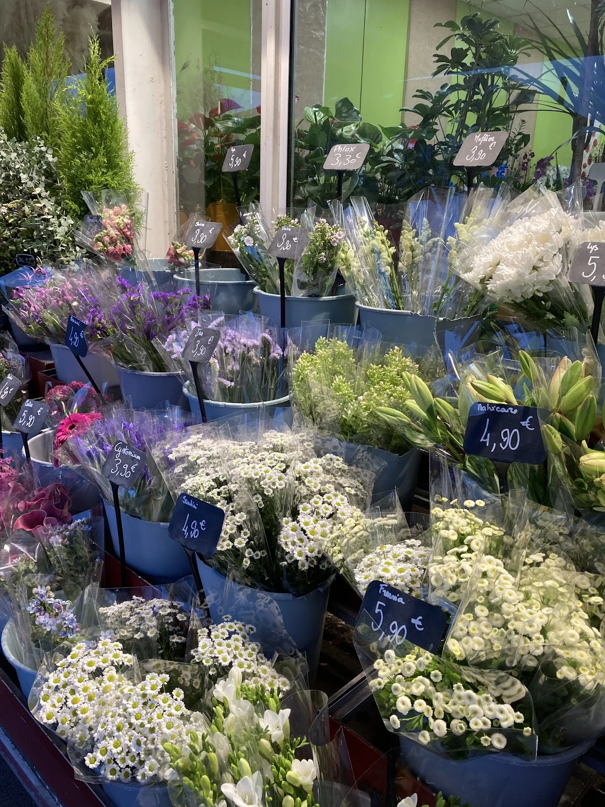 TOUJOURS FLEURS -Fleuriste Albi - INTERFLORA - 4