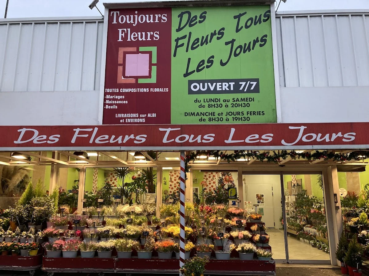 TOUJOURS FLEURS -Fleuriste Albi - INTERFLORA