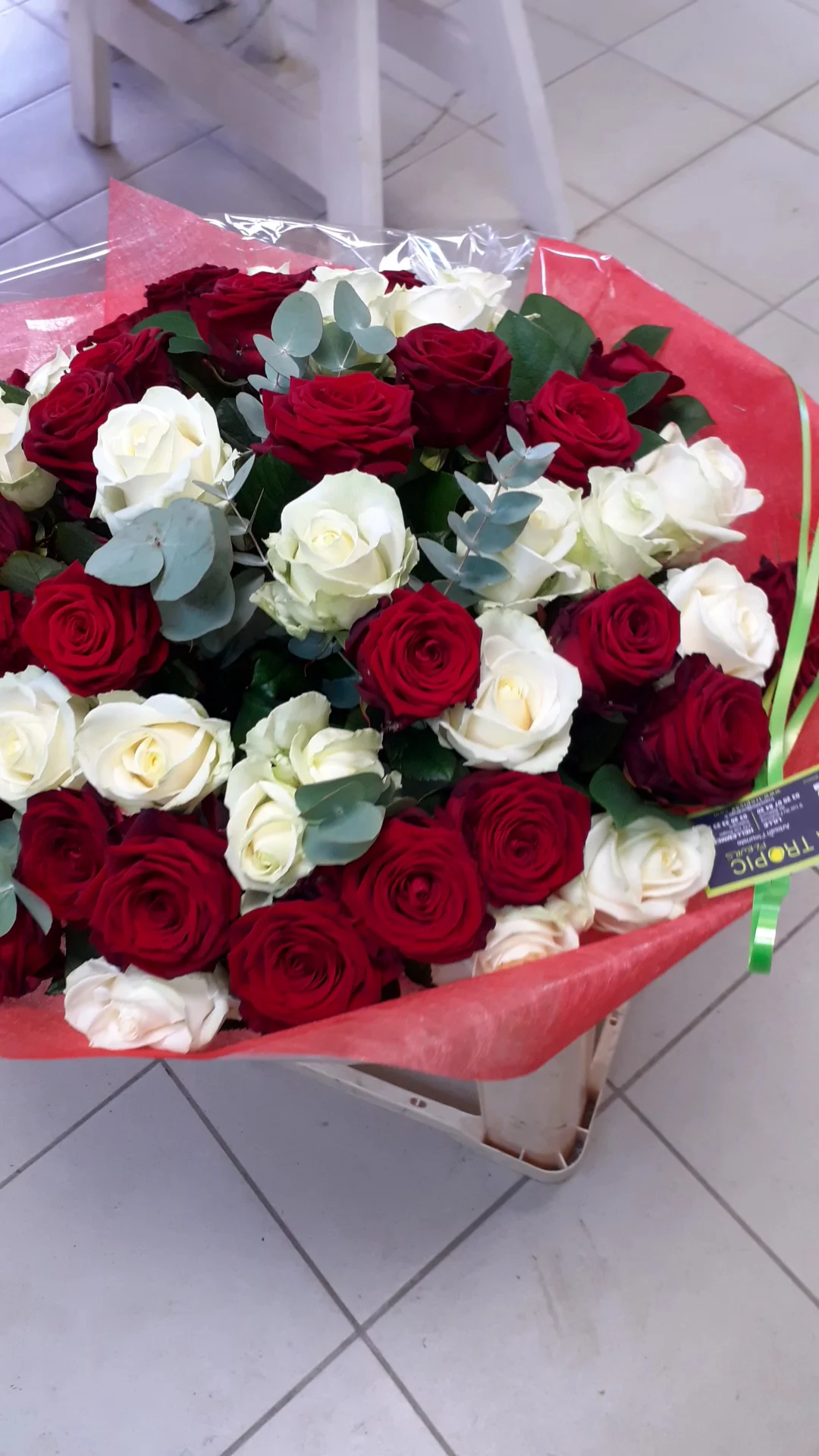 Tropic - Fleurs - 3