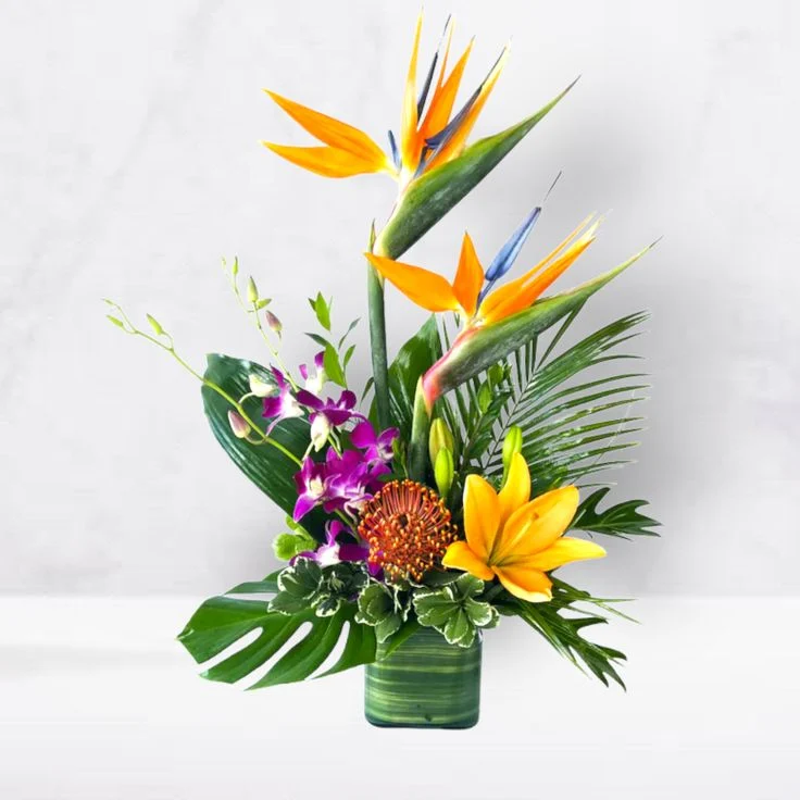 Tropical | Fleuriste Châtenay-Malabry
