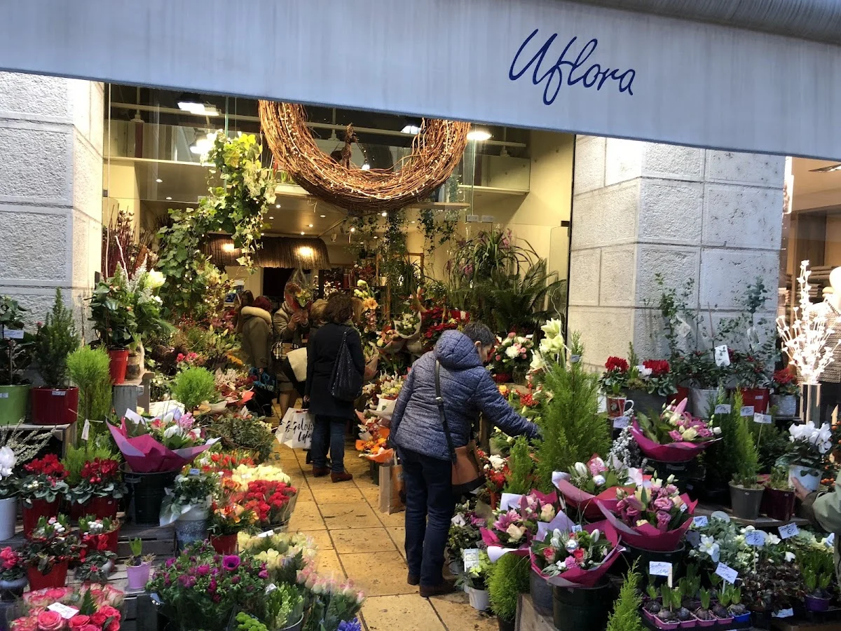 Uflora - 3