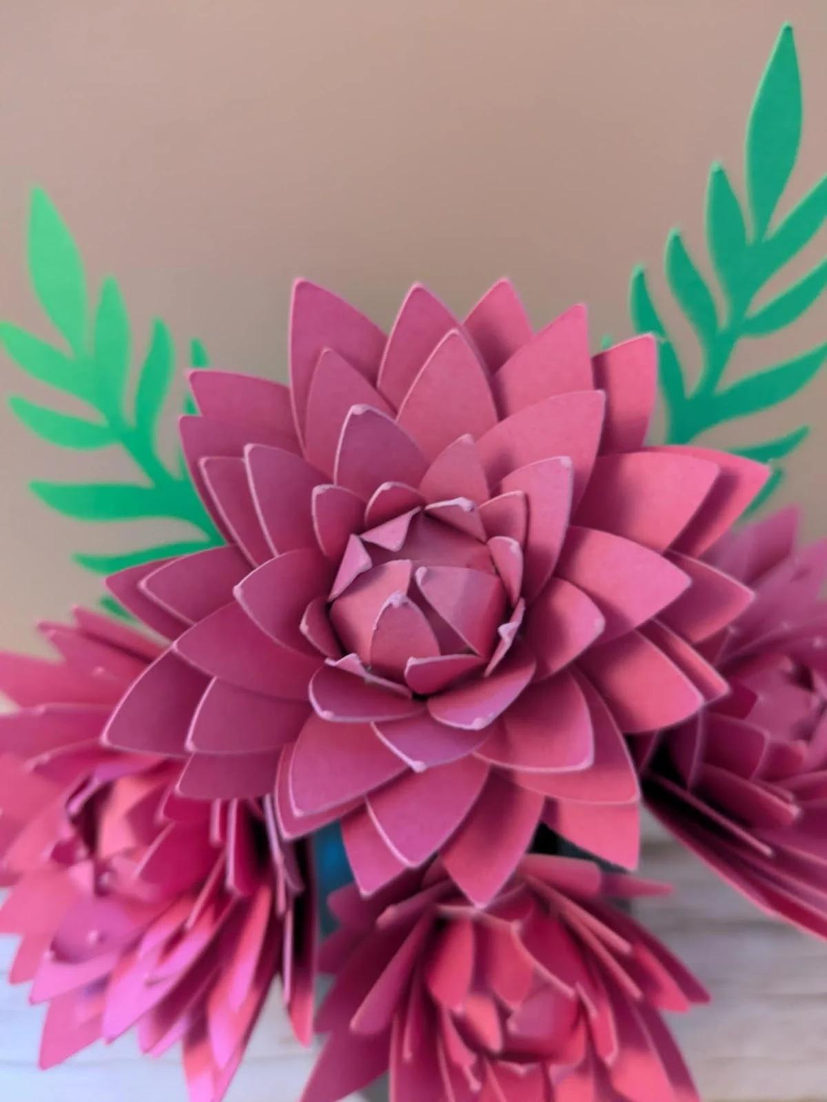Un Amour de Plante
