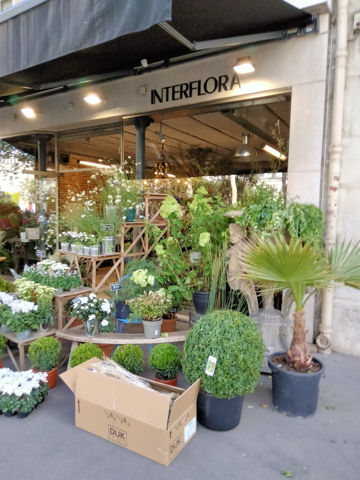 UN JOUR DE FLEURS - 2