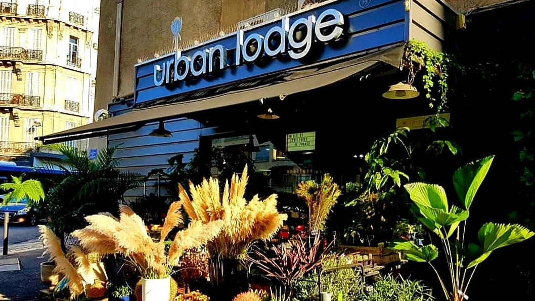 Urban Lodge - 6