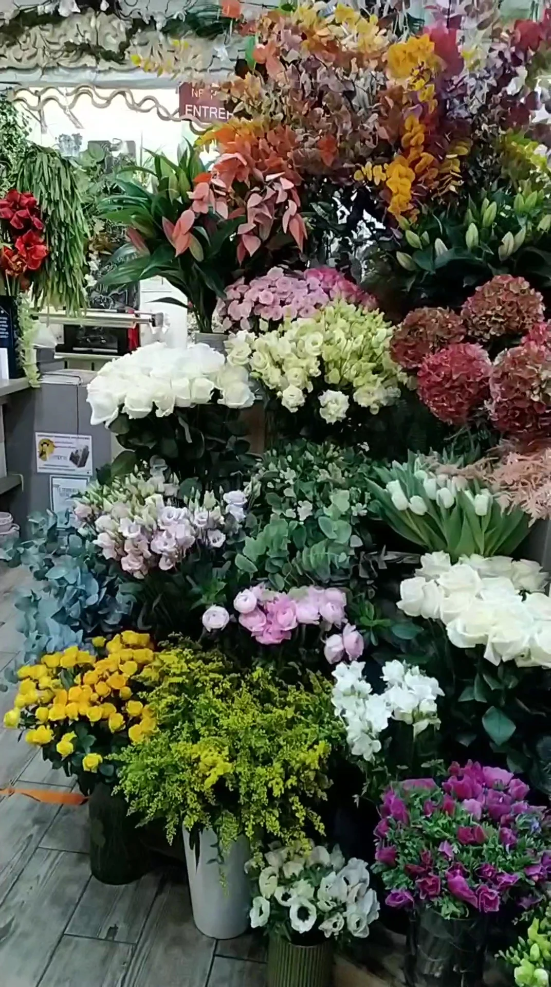 Val Vert Fleurs - 3