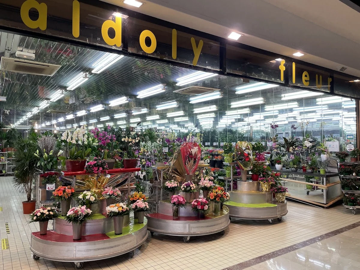 Valdoly Fleurs