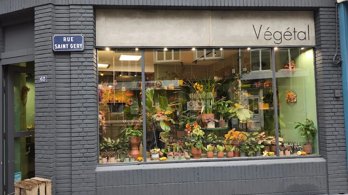 Végétal