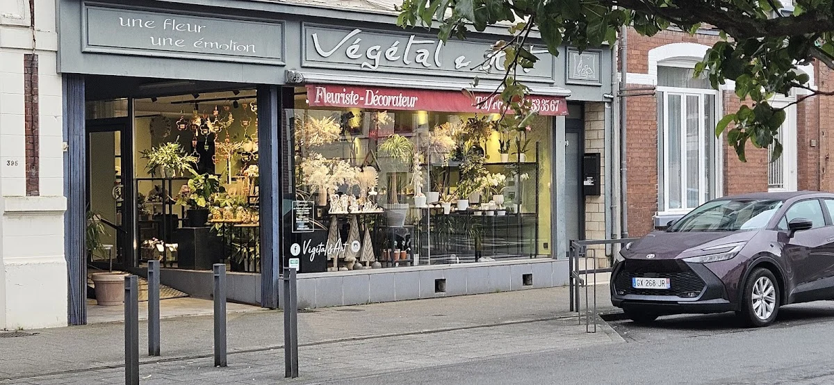 Vegetal et Art