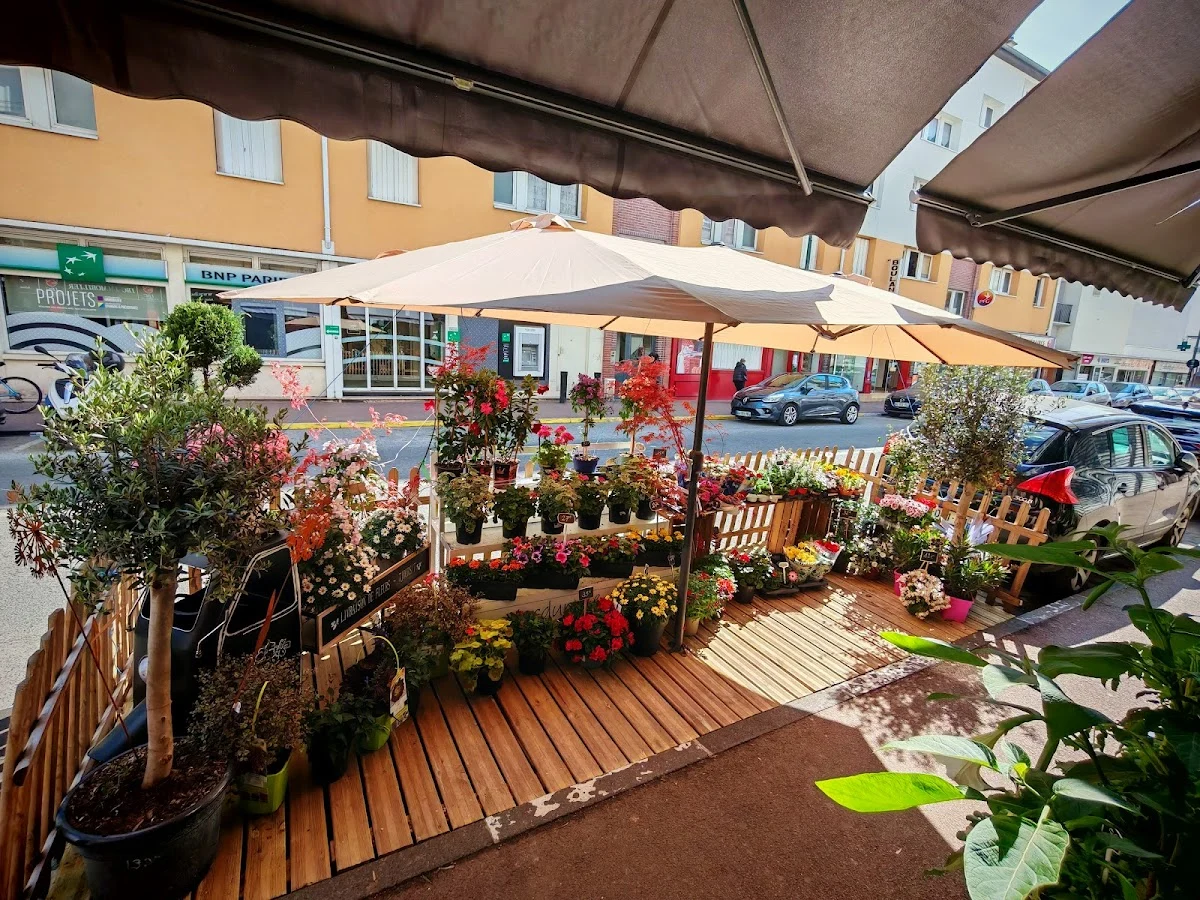 Verdure & home - 4