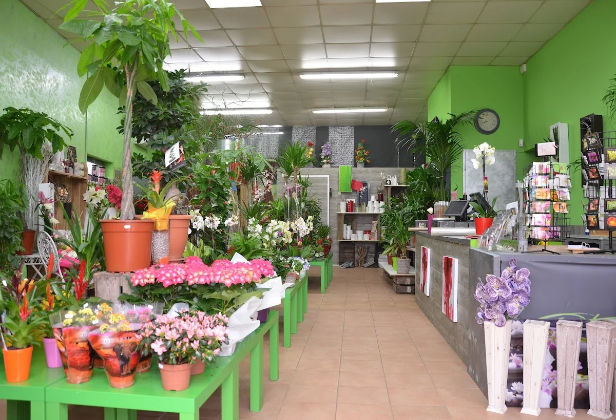 Vert Tige Fleuriste Bagnols - 2