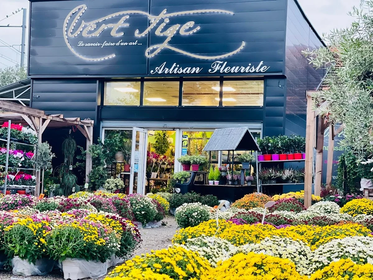 Vert Tige Fleuriste Bagnols