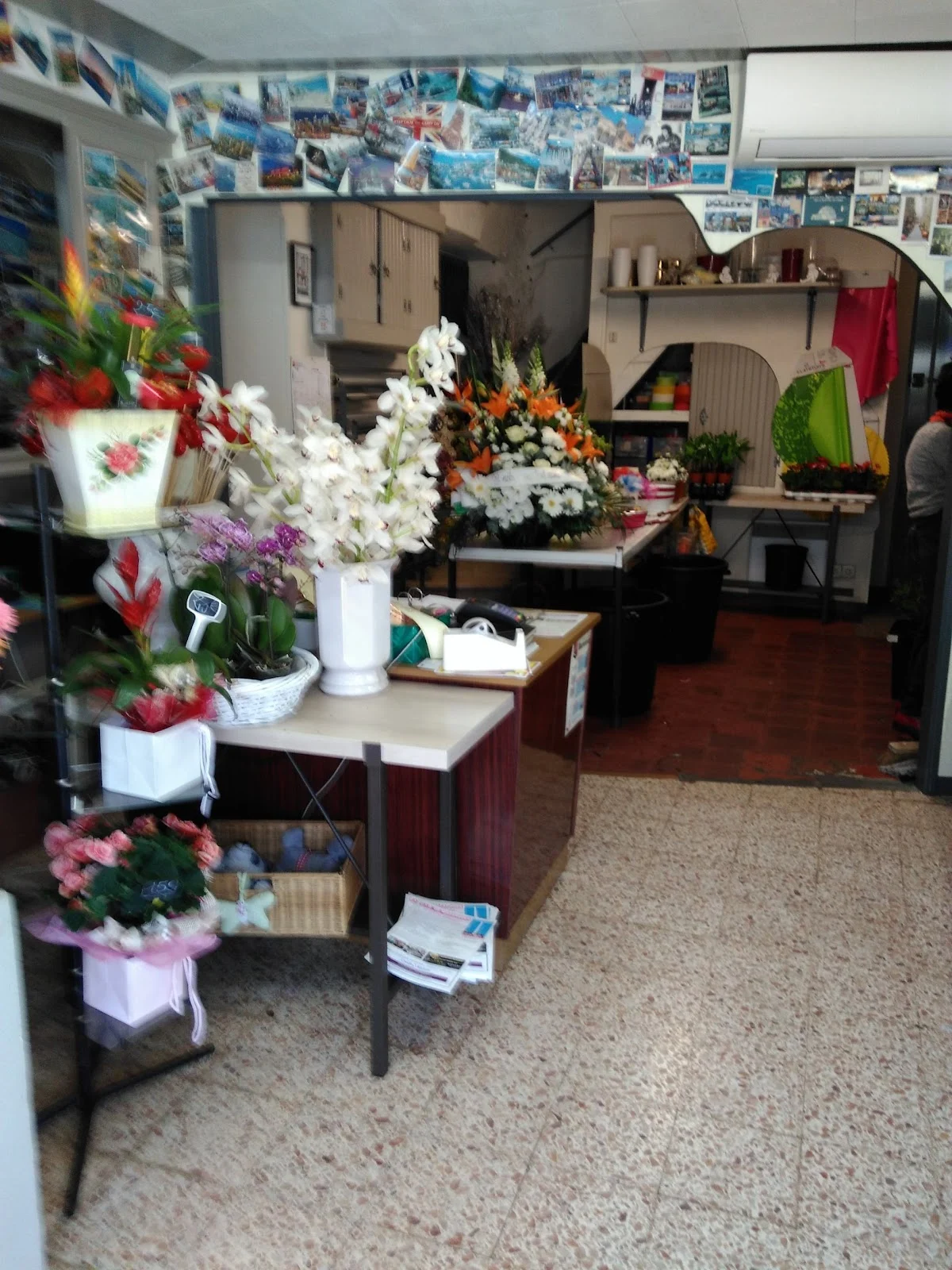 Viale Fleurs