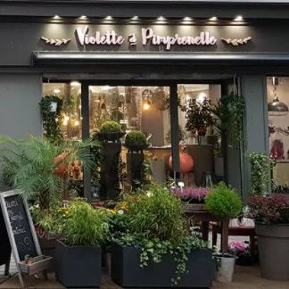 Violette Et Pimprenelle