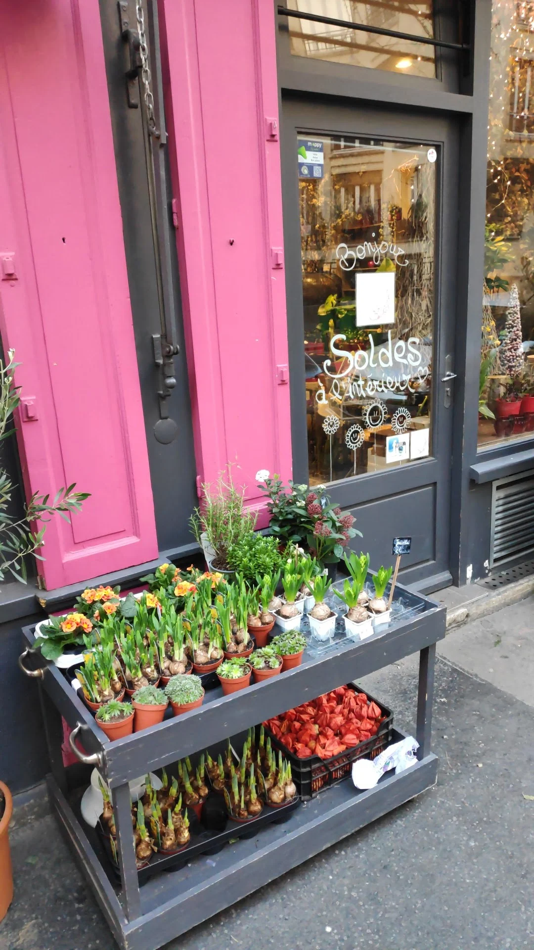 Voici Des Fleurs - 3