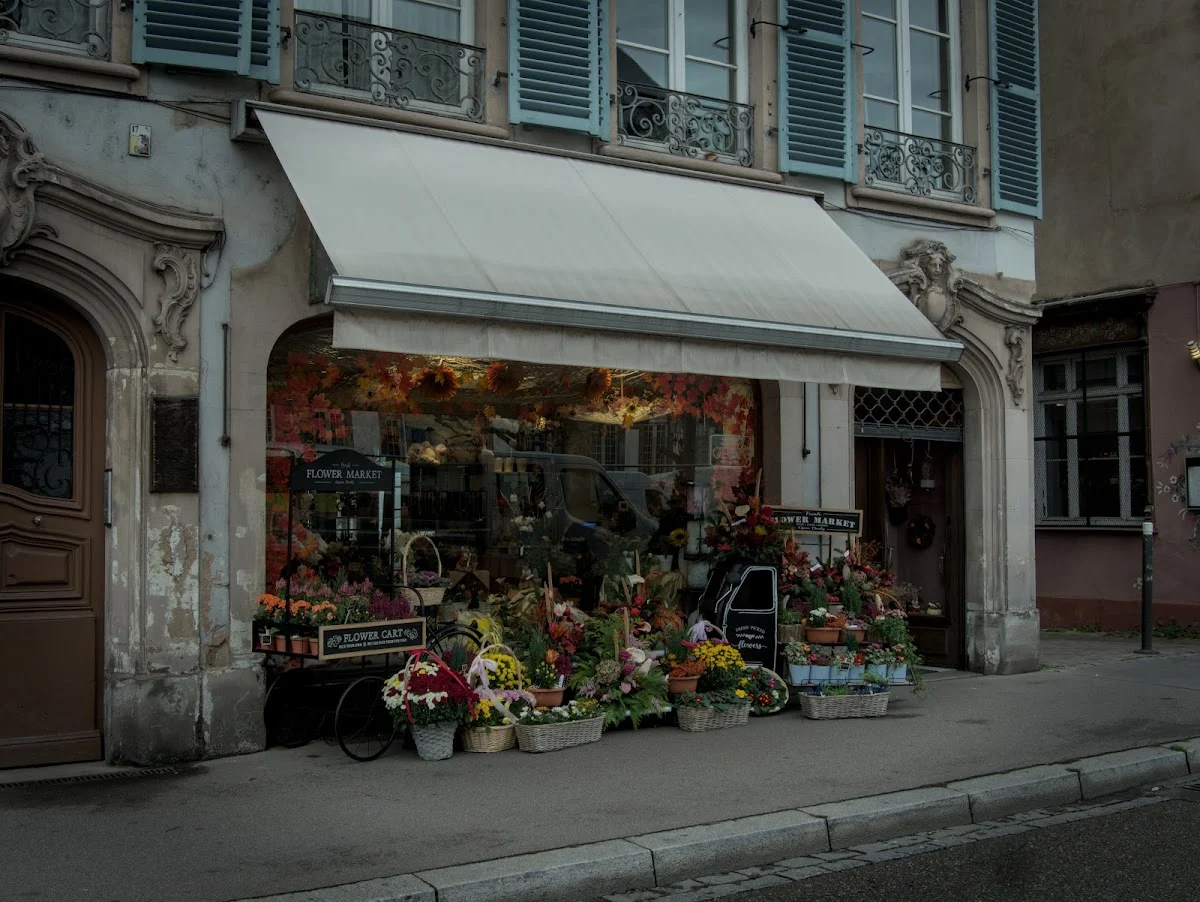 Zara Fleurs