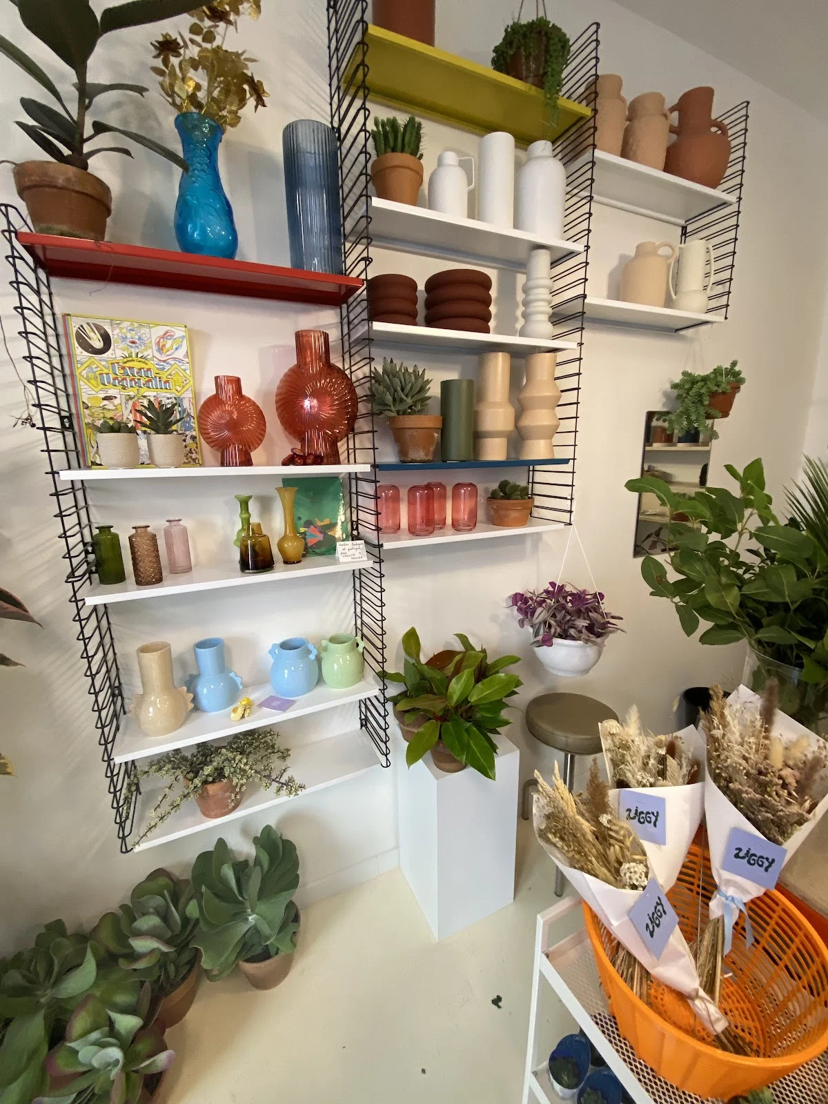 Ziggy | Fleuriste Marseille - 2